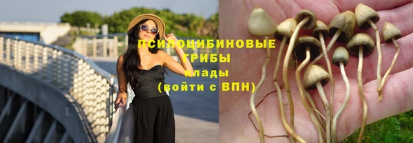 гашиш Богородск