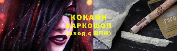 сатива Богородицк