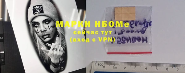 сатива Богородицк