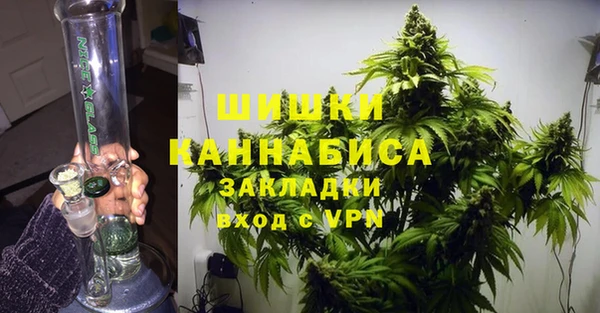 метадон Богданович