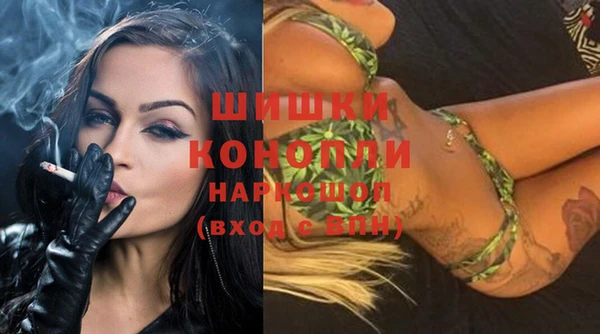 метадон Богданович