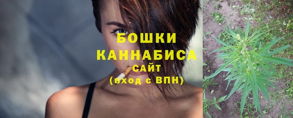 метадон Богданович