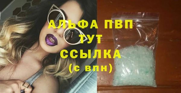 сатива Богородицк
